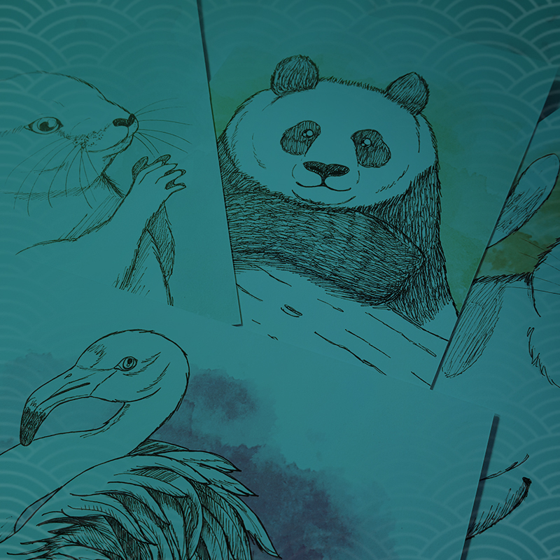 illustrationen-teaser